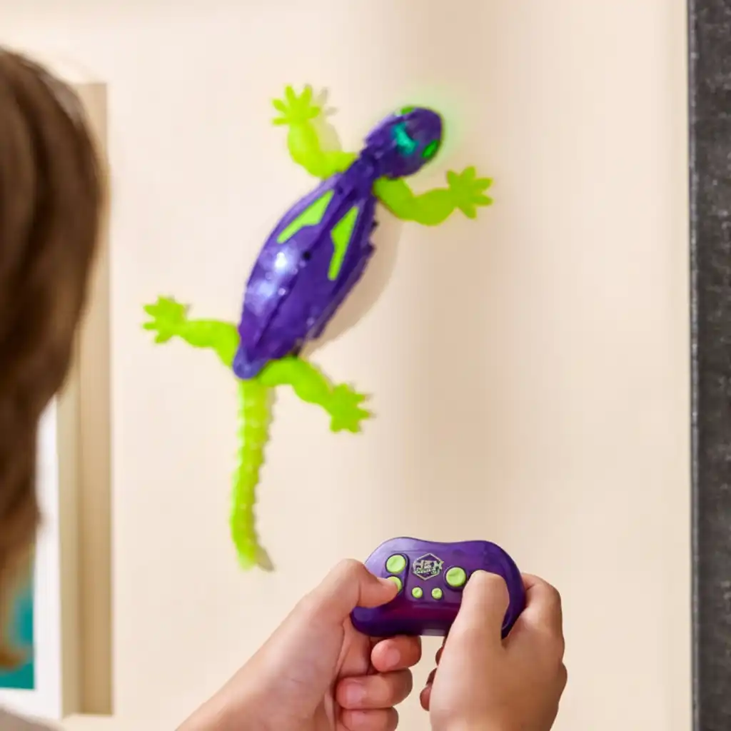 Entdecke unbegrenzte Spielmöglichkeiten am Boden und an der Wand.